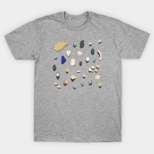 Beachcombing T-Shirt